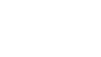 Brave Buddy